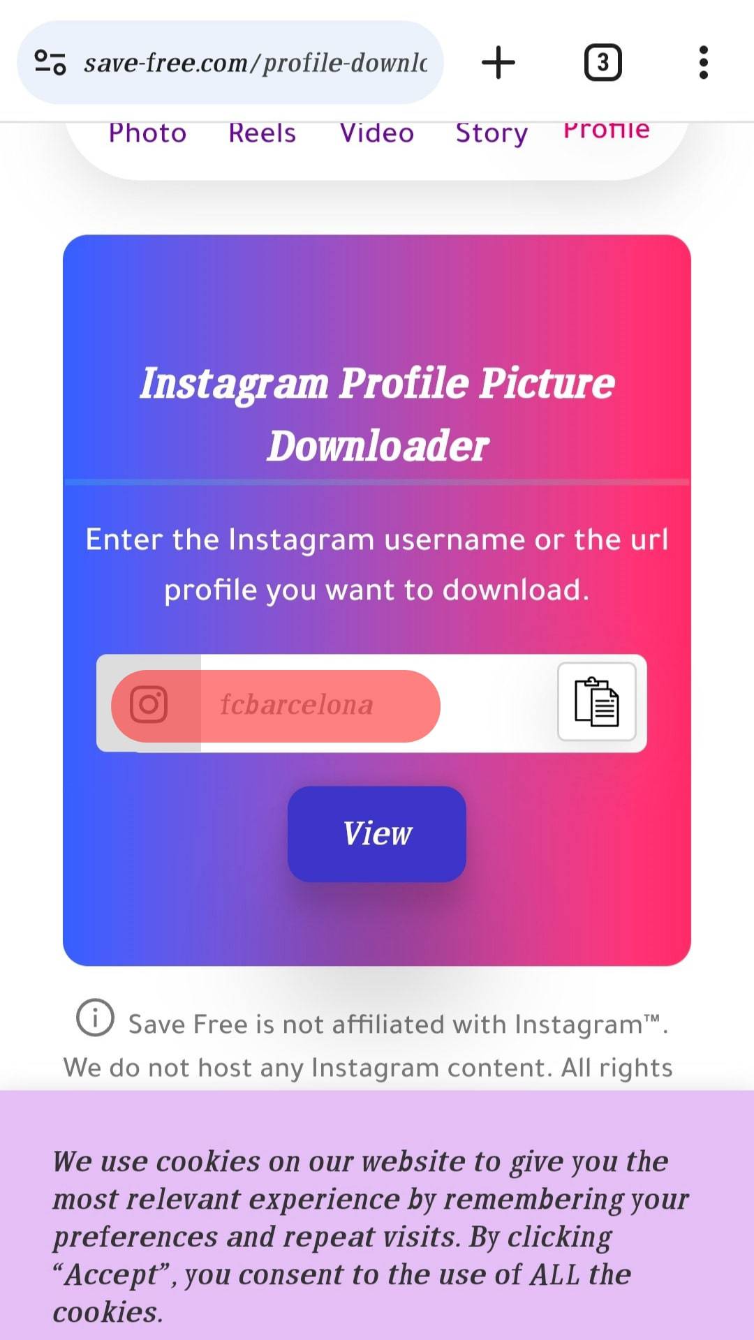 Paste User Profile Url Into The Instagram Username Field