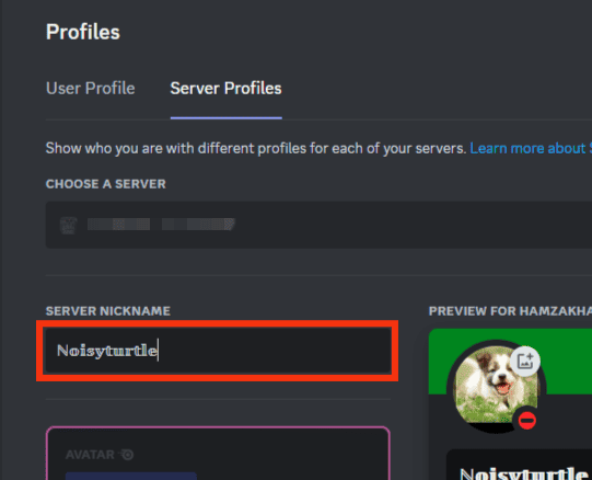 Paste The Cool Name In The Server Nickname Textbox