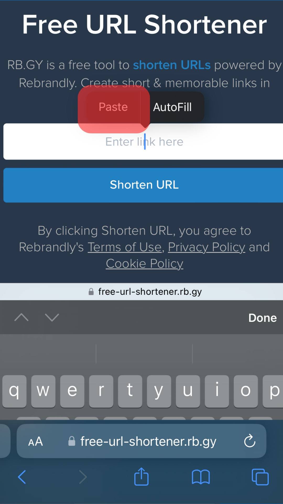 Paste The Copied Link In The Url Shortener