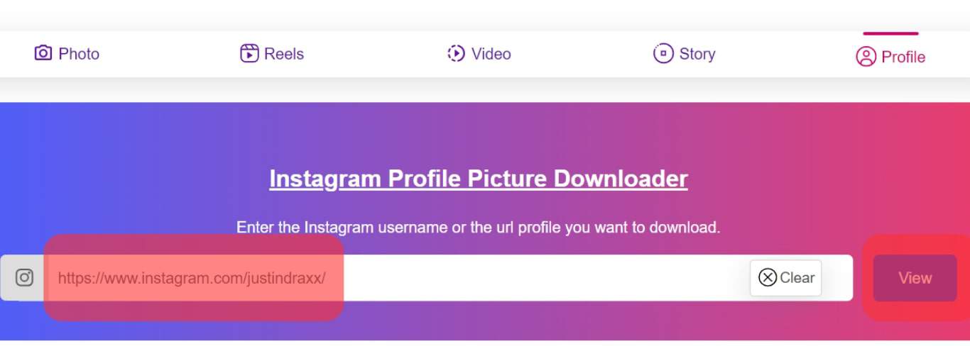 Paste Username Into The Instagram Username Field