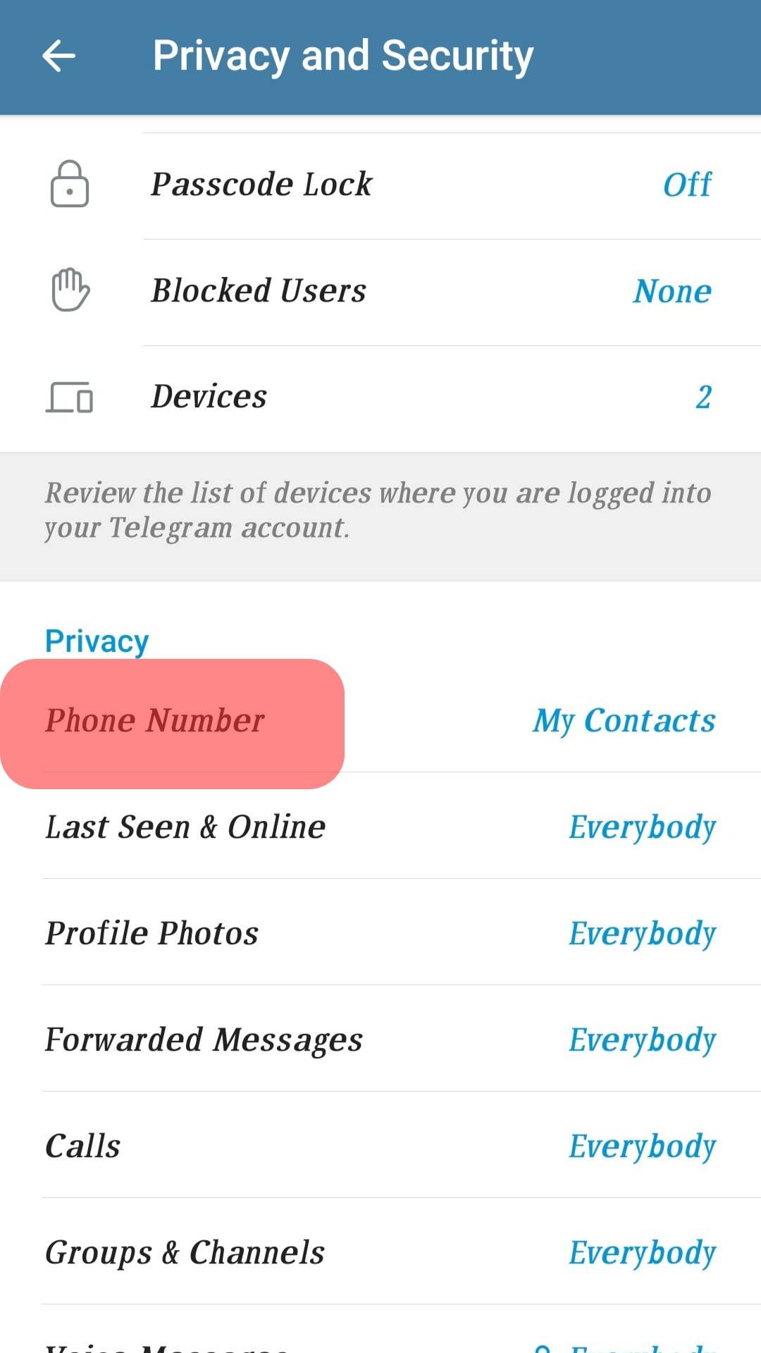 Phone Number Option Telegram