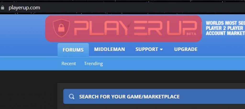 Playerup