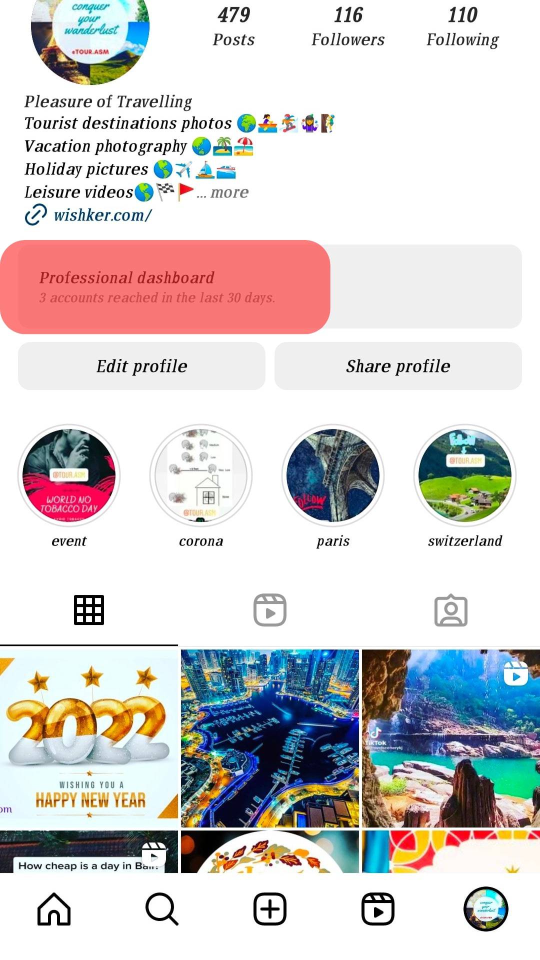 Professional Dashboard Instagram