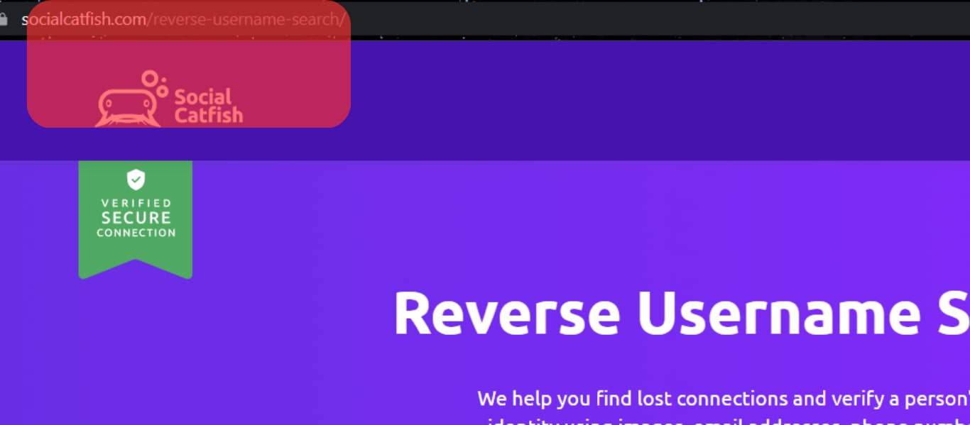 Reverse Username Search For Social Catfish.