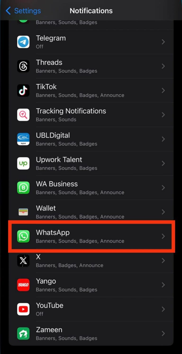 Why Does My Music Stop When I Open WhatsApp on iPhone? ITGeared