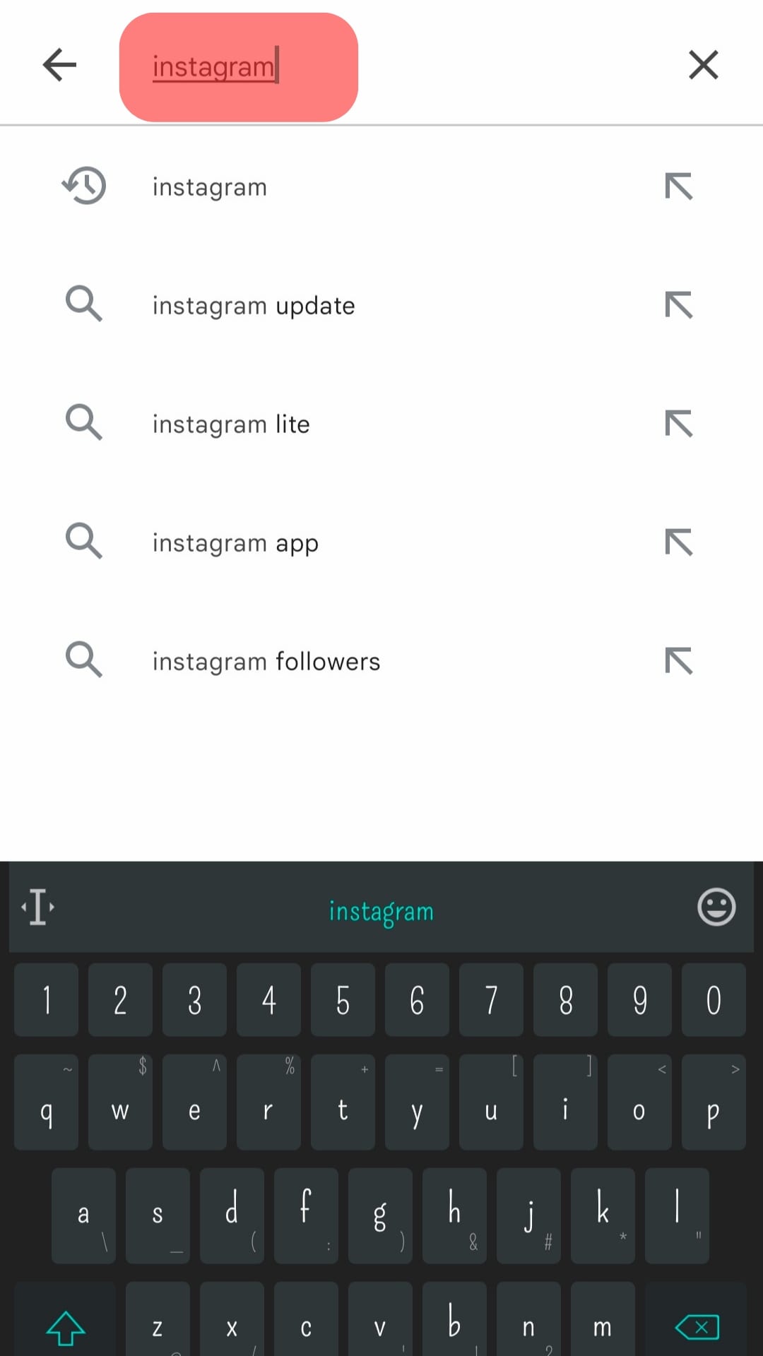 Search Box Instagram