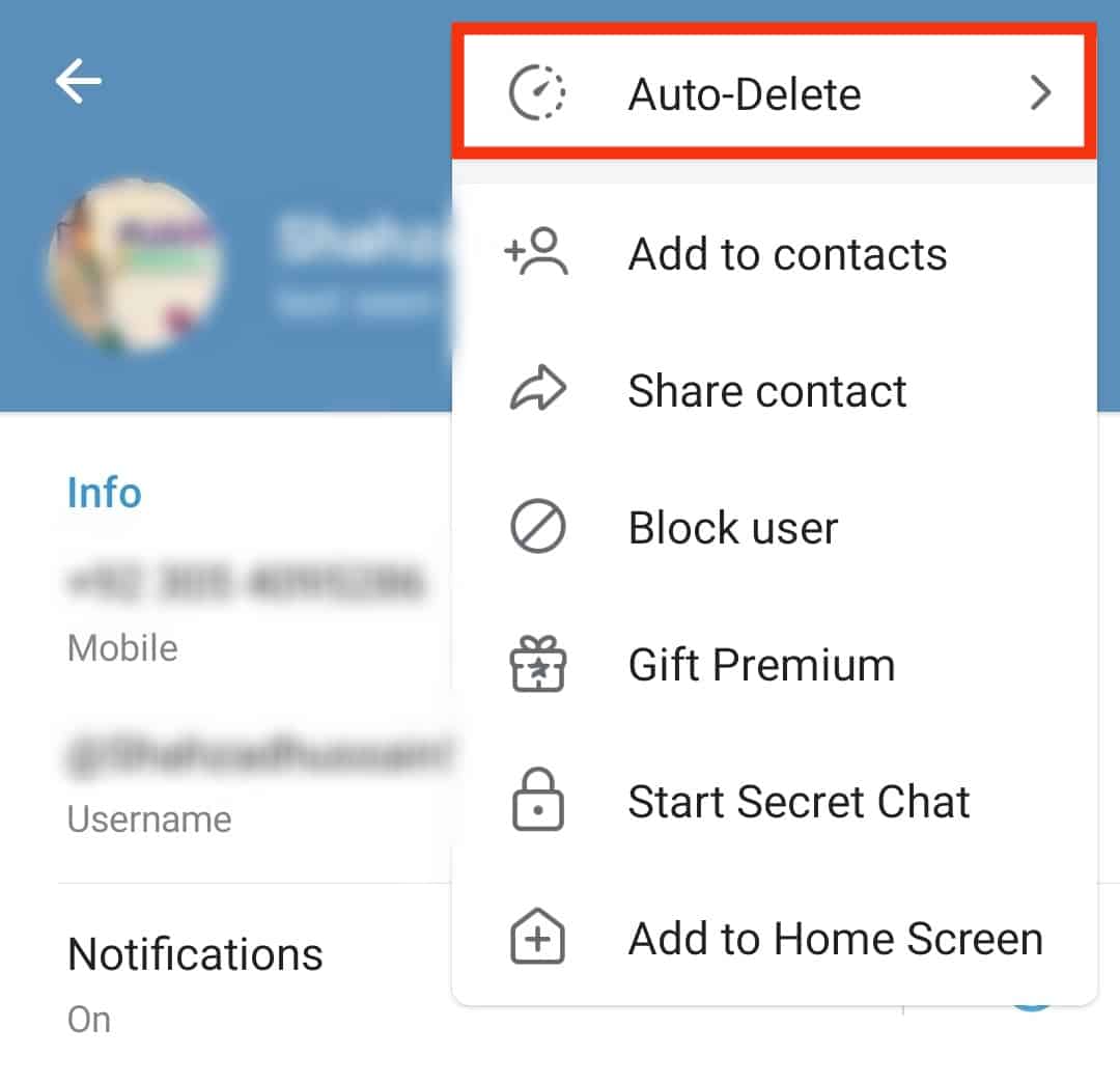 Select Auto-Delete