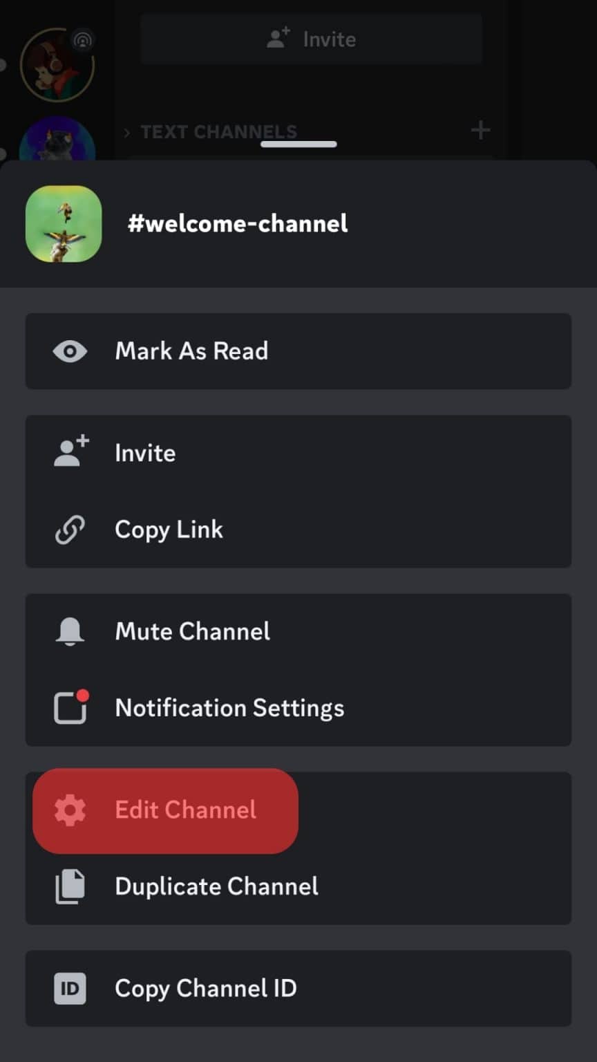 How To Put Icons in Discord Channel Names? ITGeared