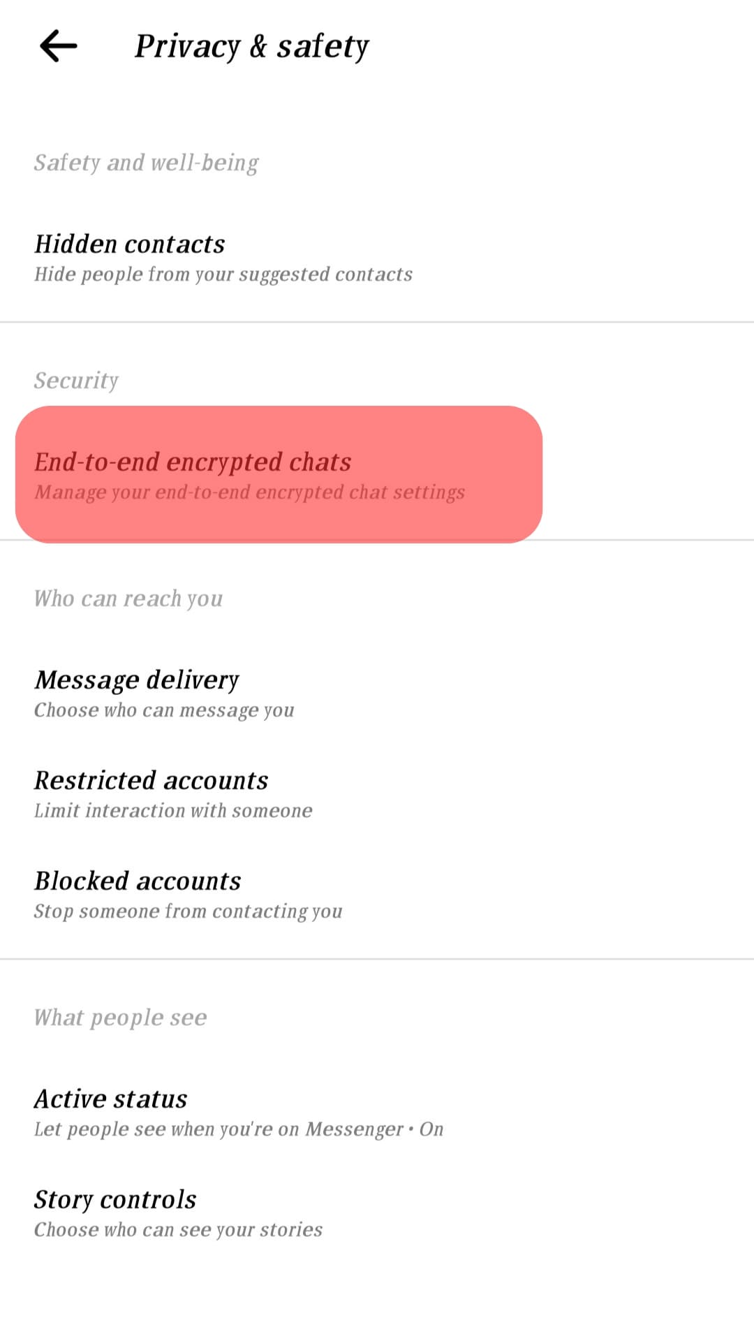 Select End-To-End Encrypted Chats.