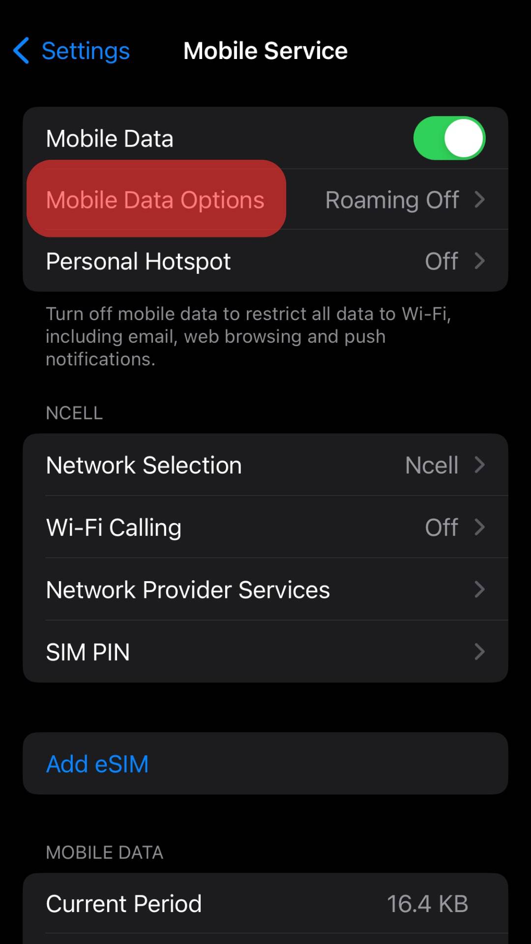 Select Mobile Data Options.