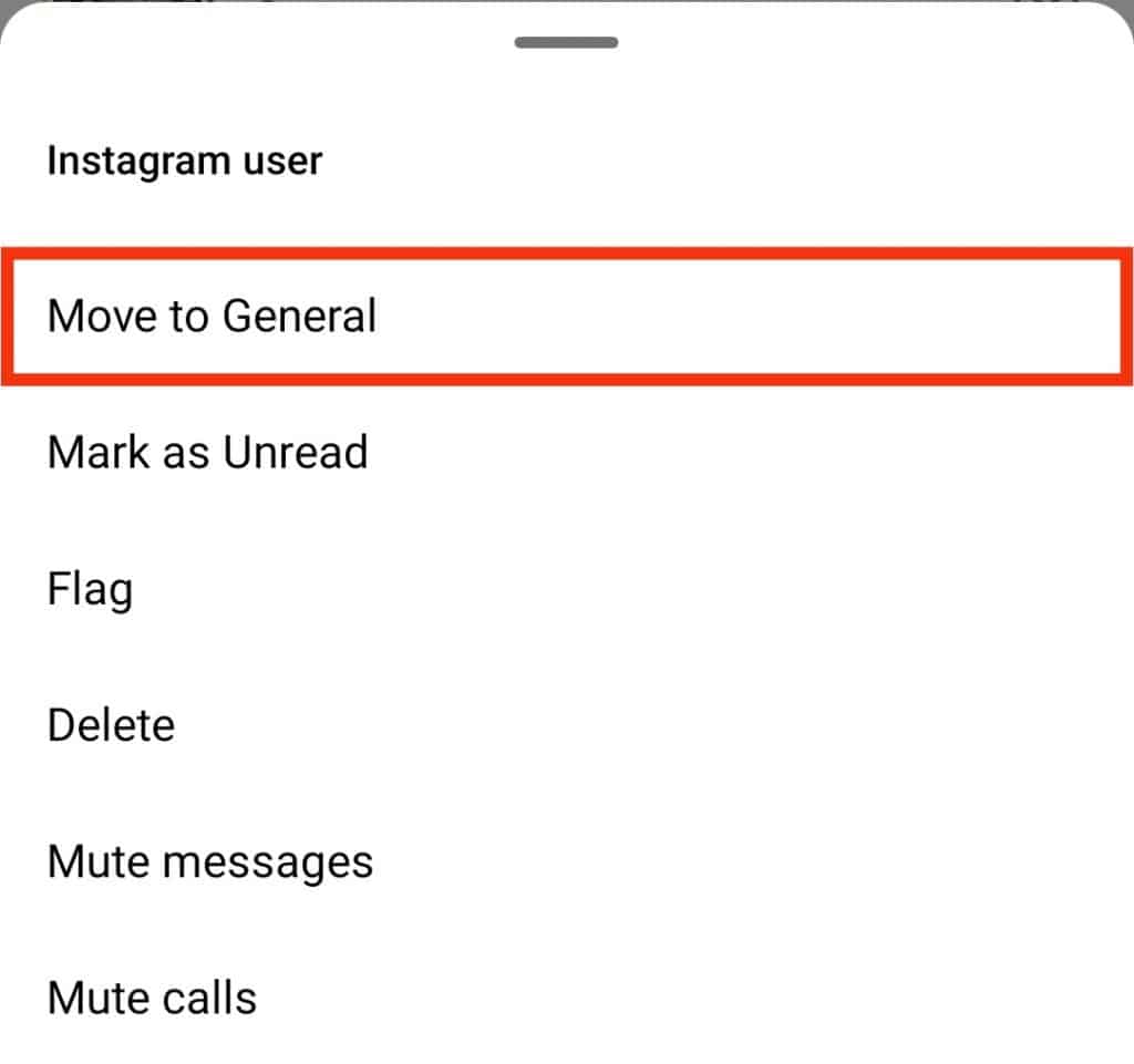 WHAT DOES GENERAL MEAN ON INSTAGRAM MESSAGES visual data 2