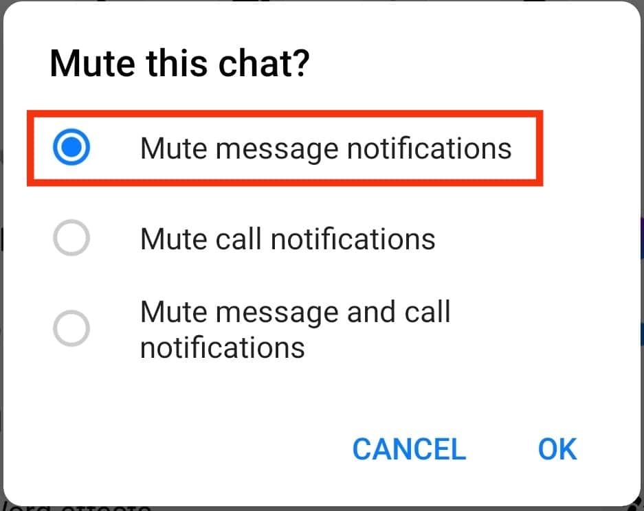 Select Mute Message Notifications