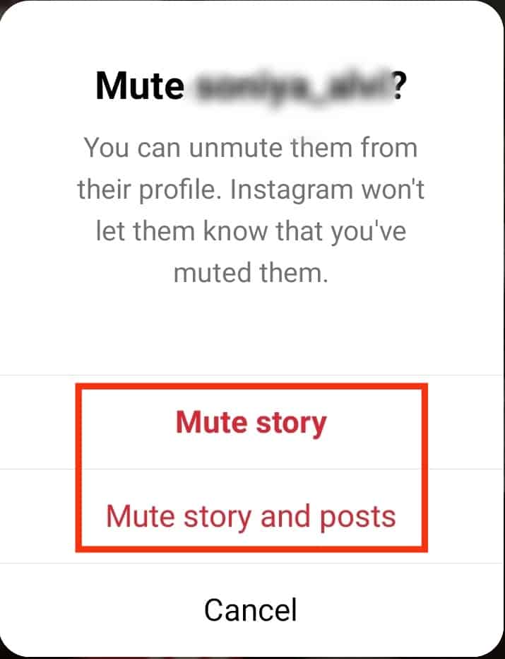 Select Mute Story Or Mute Story And Posts