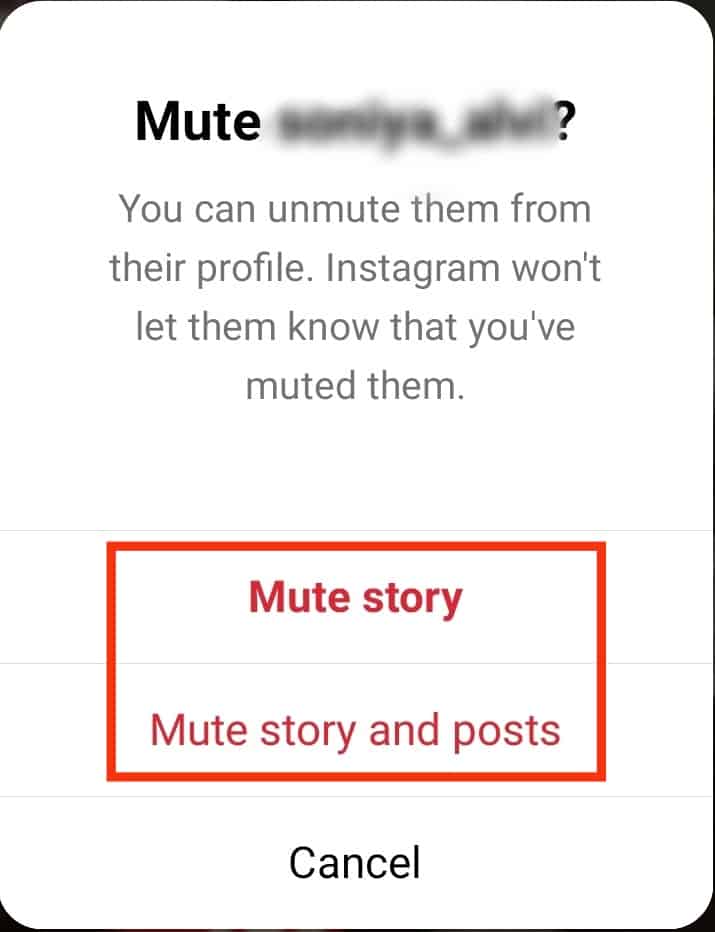 Select Mute Story Or Mute Story And Posts