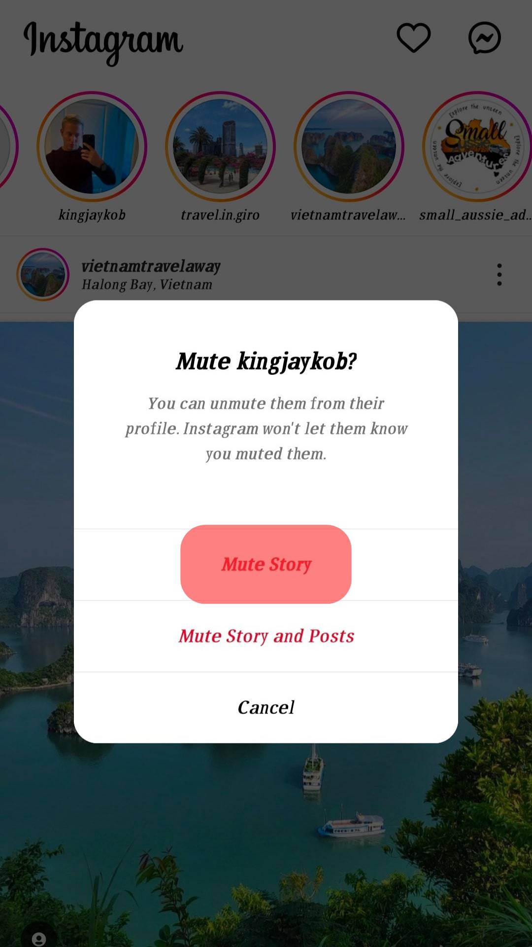Select Mute Story To Mute The Stories