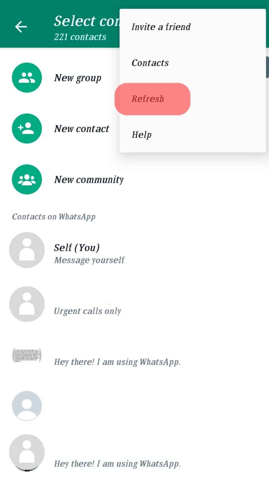 Why Has a Contact Disappeared From WhatsApp? ITGeared