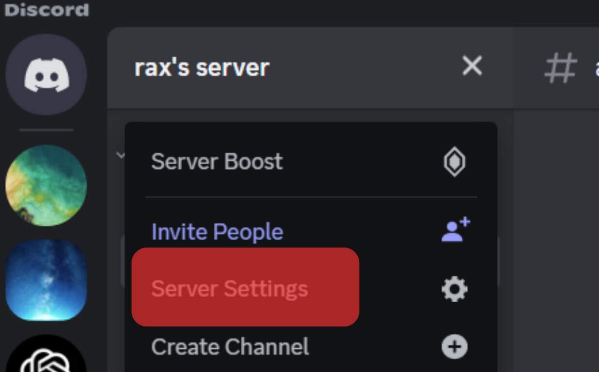 Select Server Settings From The Drop-Down Menu.