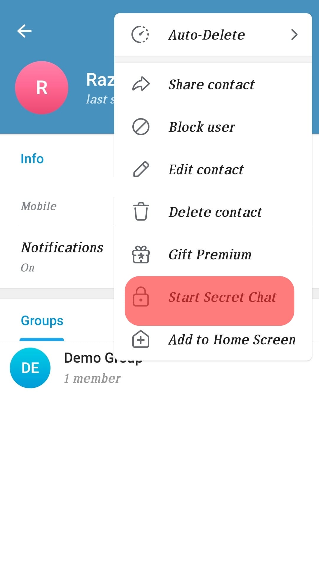 Select Start Secret Chat.