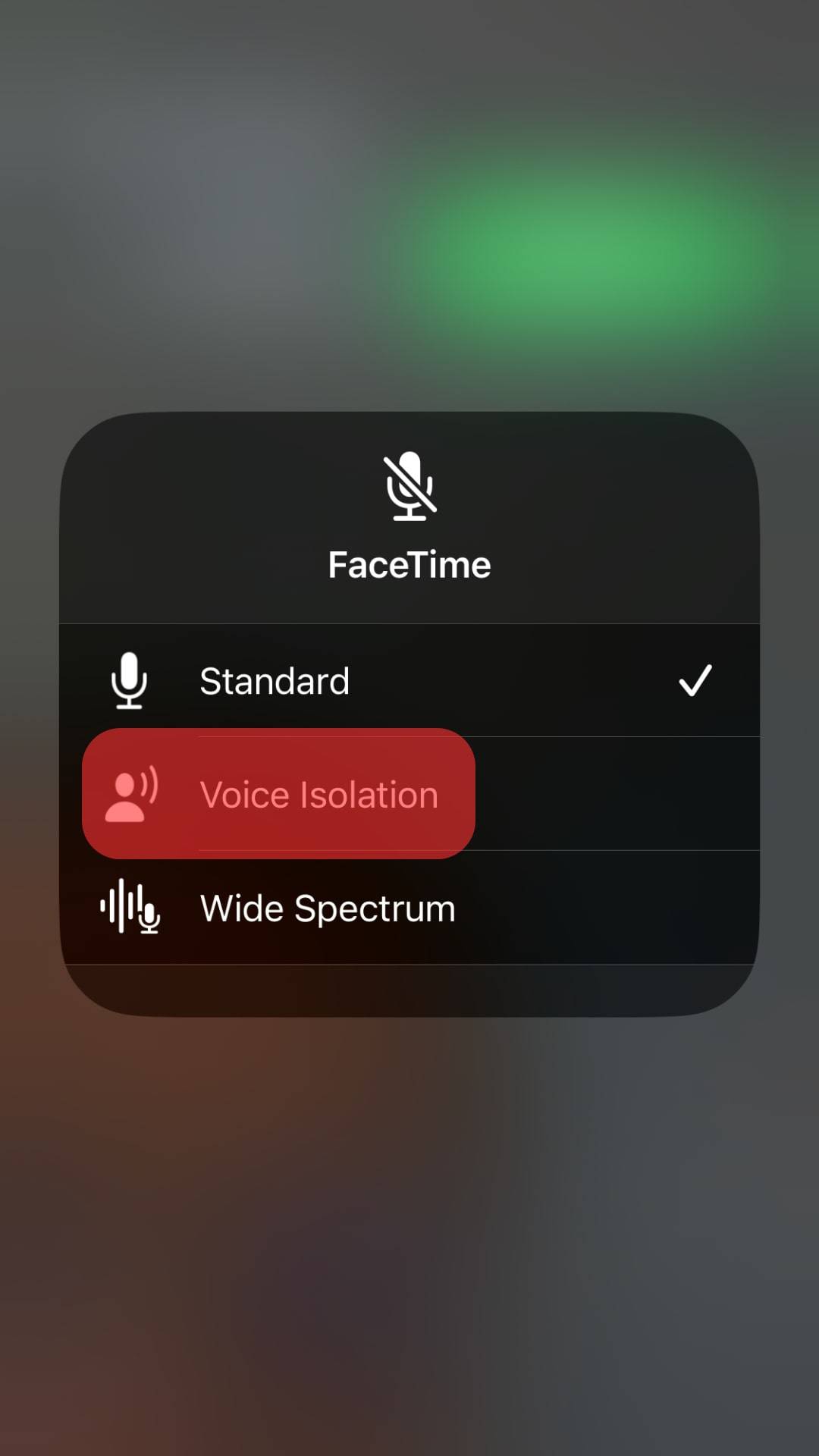 Select “Voice Isolation.”