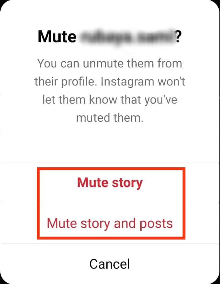 Select Either Mute Story Or Mute Story And Posts