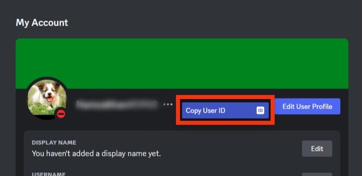 Select The “Copy User Id” Option
