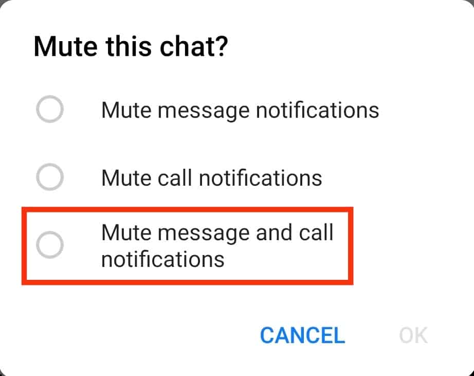 Select The Mute Messages And Call Notifications Option