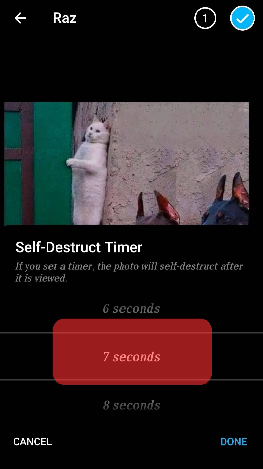 Select The Photo Destruction Timeline
