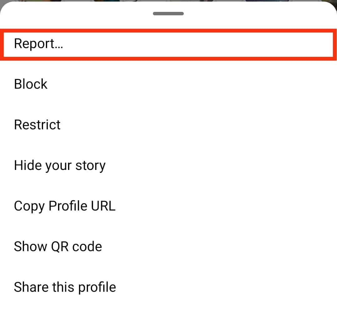 Select The Report Option
