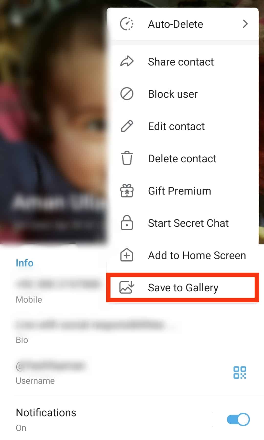 Select The Save To Gallery
