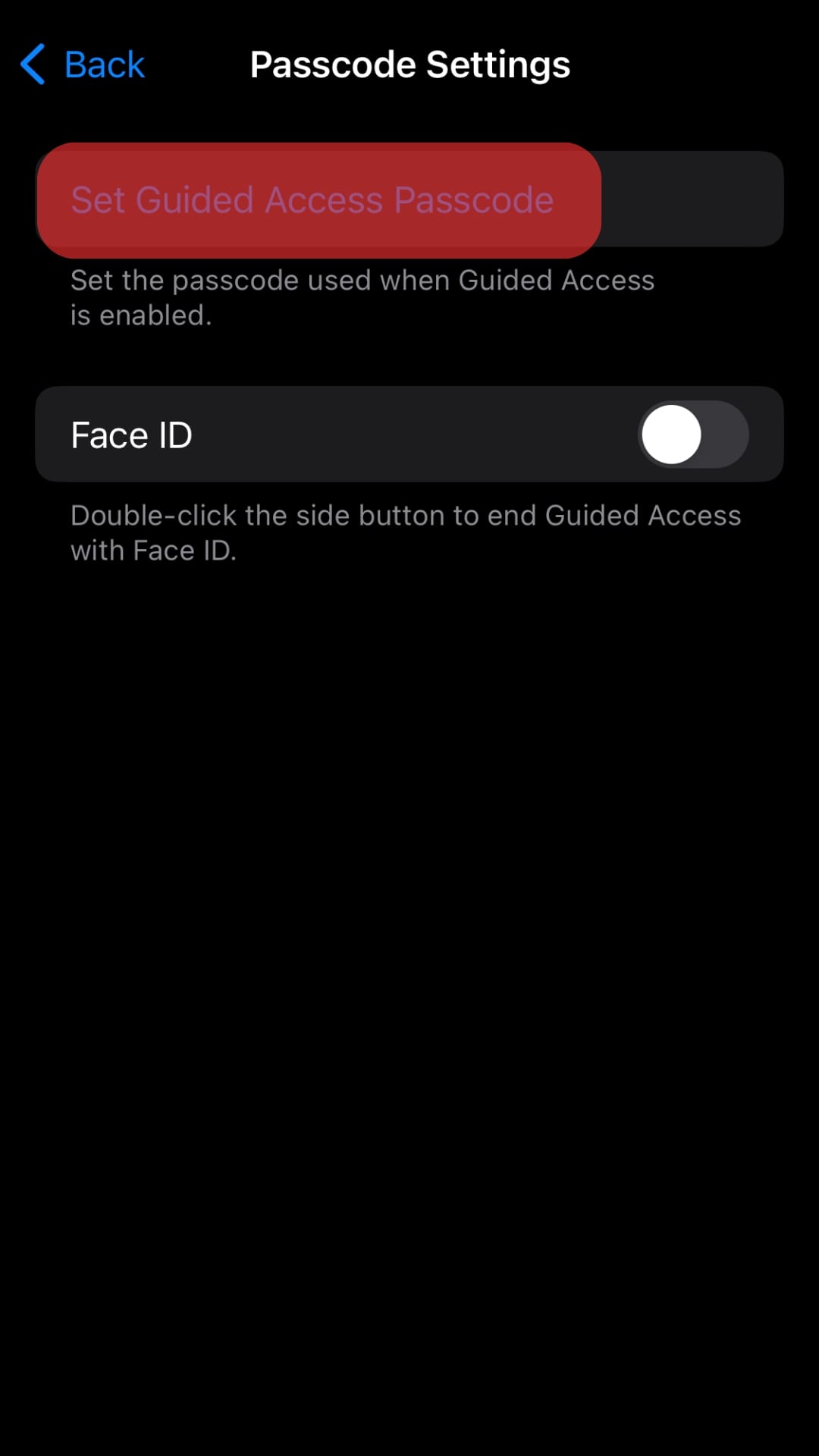Select The Set Guided Access Passcode Option,