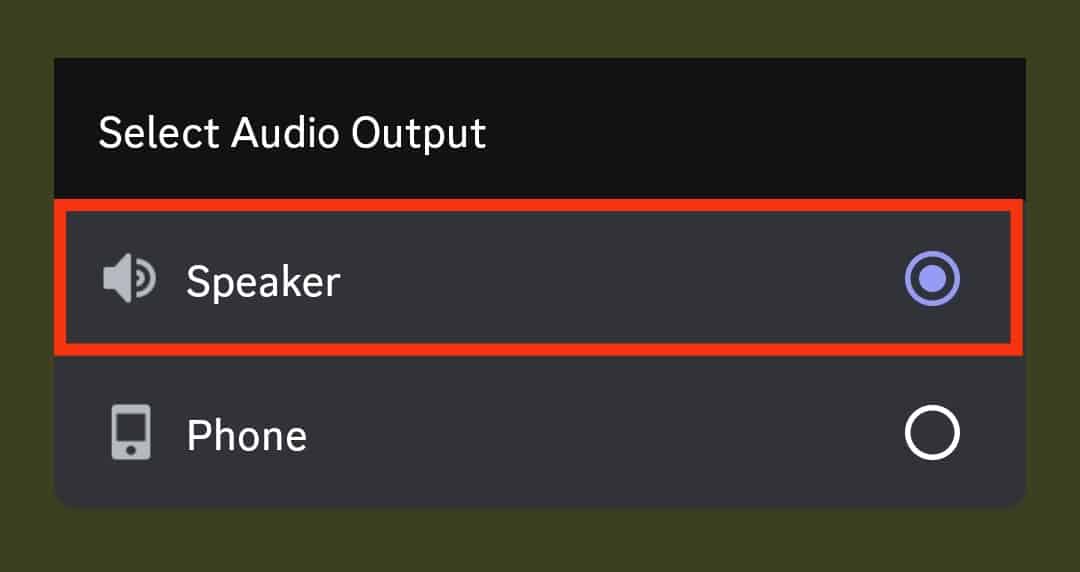 Select The Speaker Option