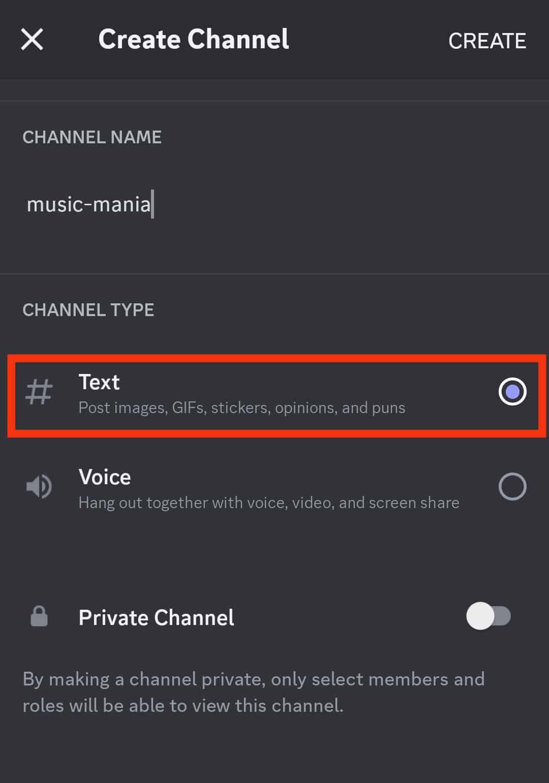 Voice Or Text Channel