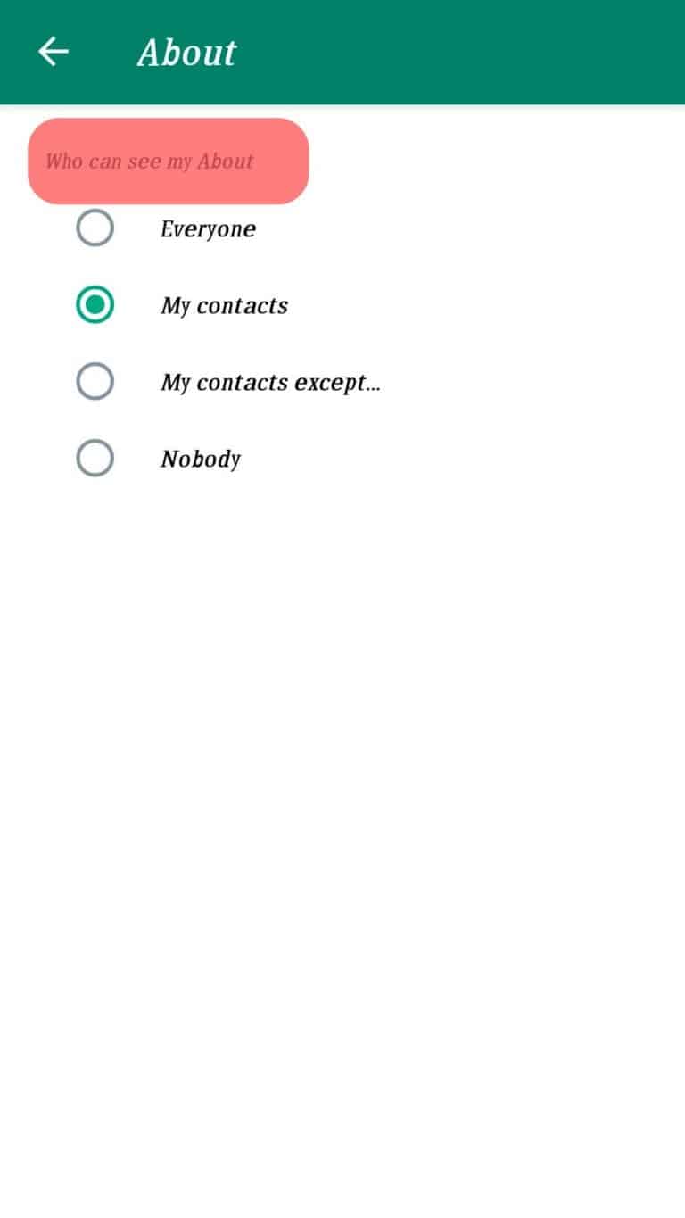 What Does “Busy” Mean on WhatsApp? ITGeared