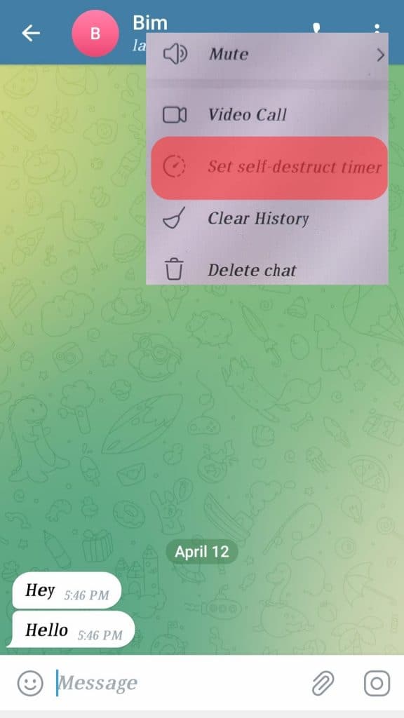 What Is the Self-Destruct Timer in Telegram? | ITGeared