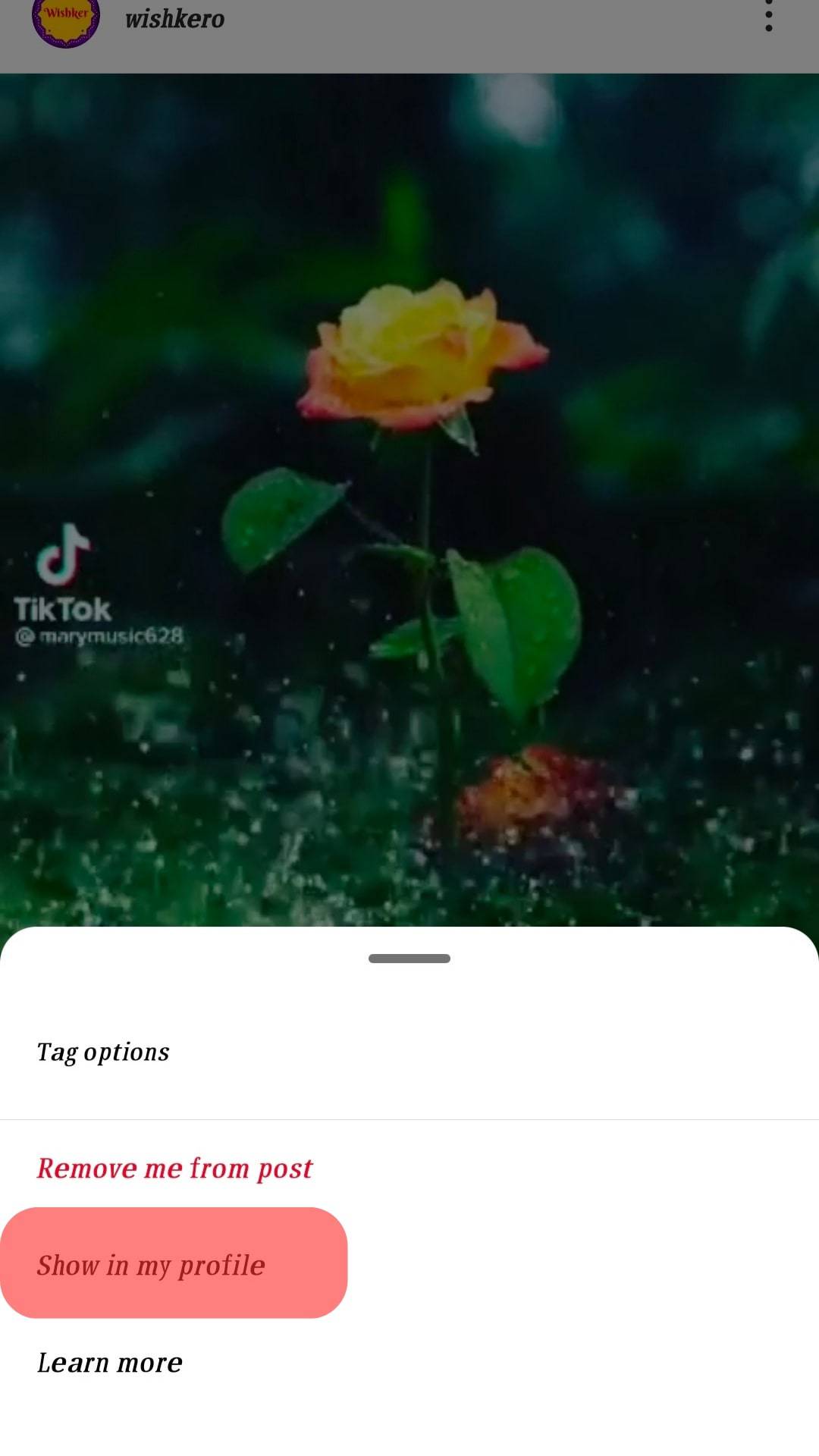 Show In My Profile For Android