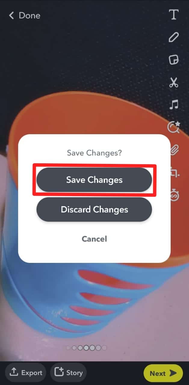 Snap Save Changes