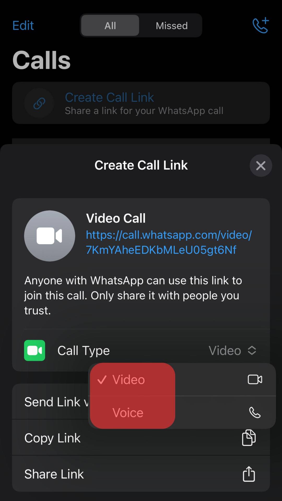 Tap On Your Preferred Call Type Video Or Voice.