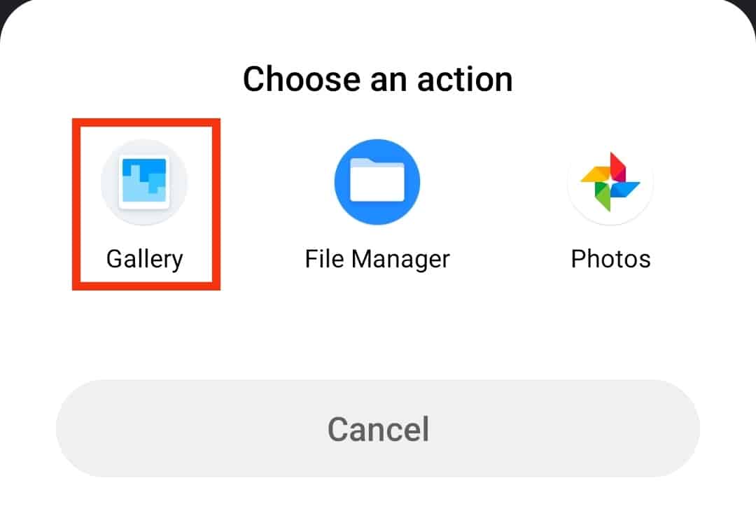 Tap The Gallery Option