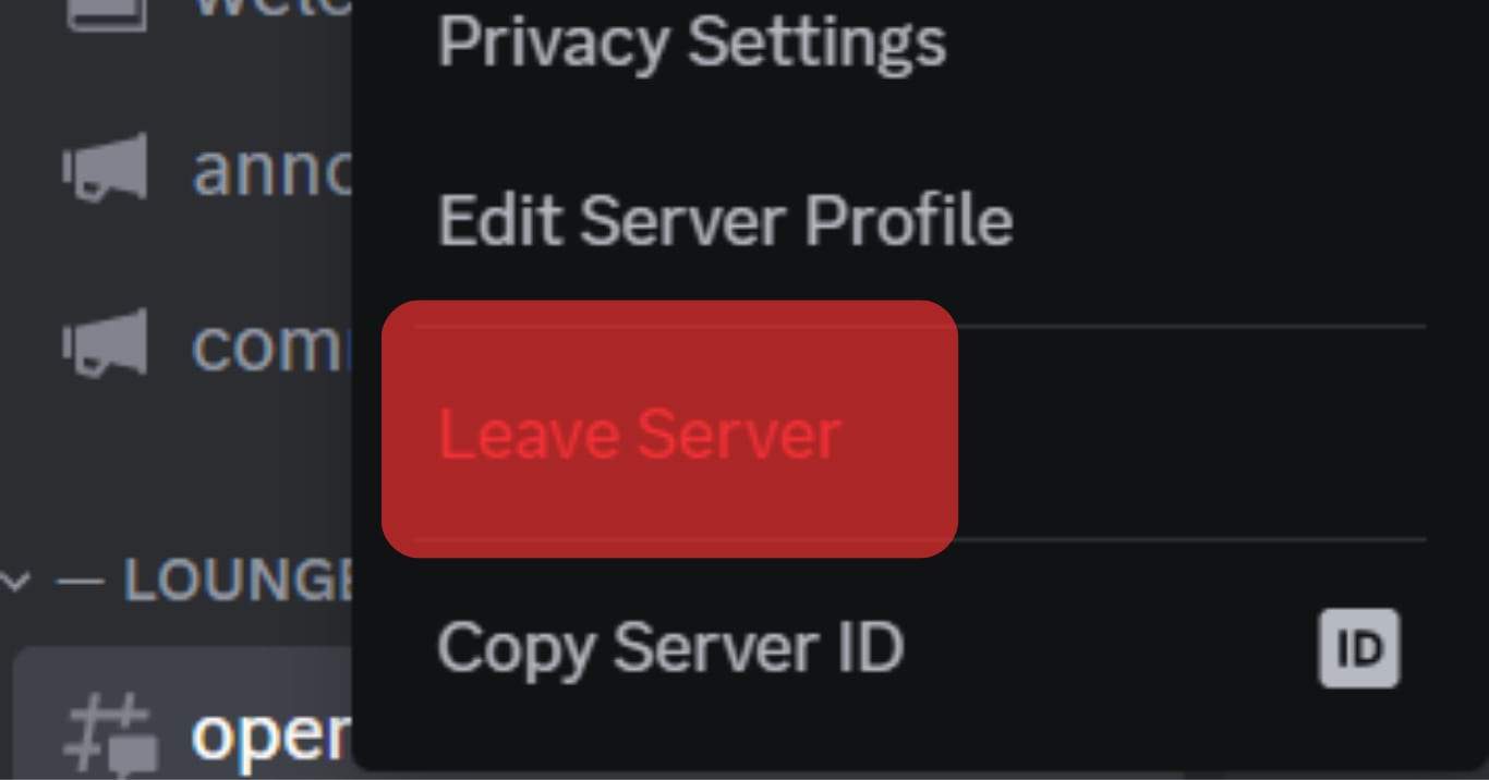 Tap The Leave Server Option