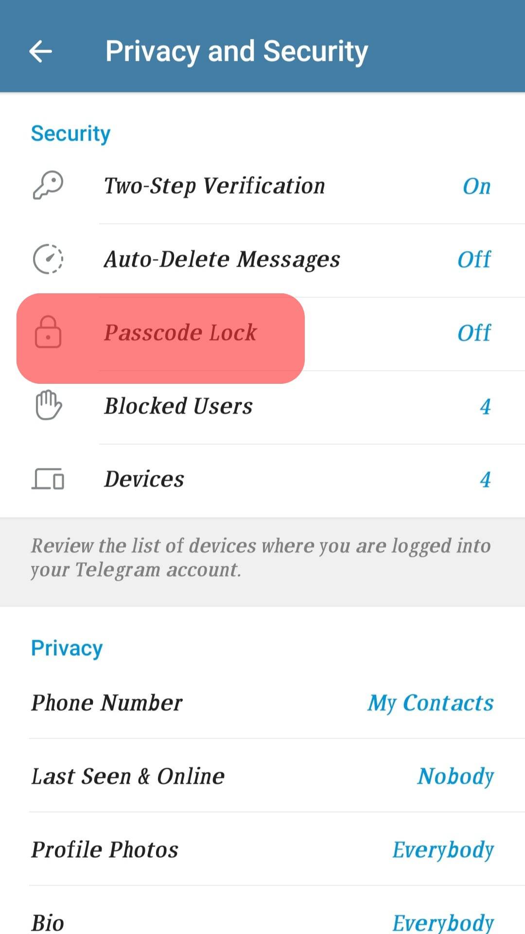 Tap The Passcode Lock Option.