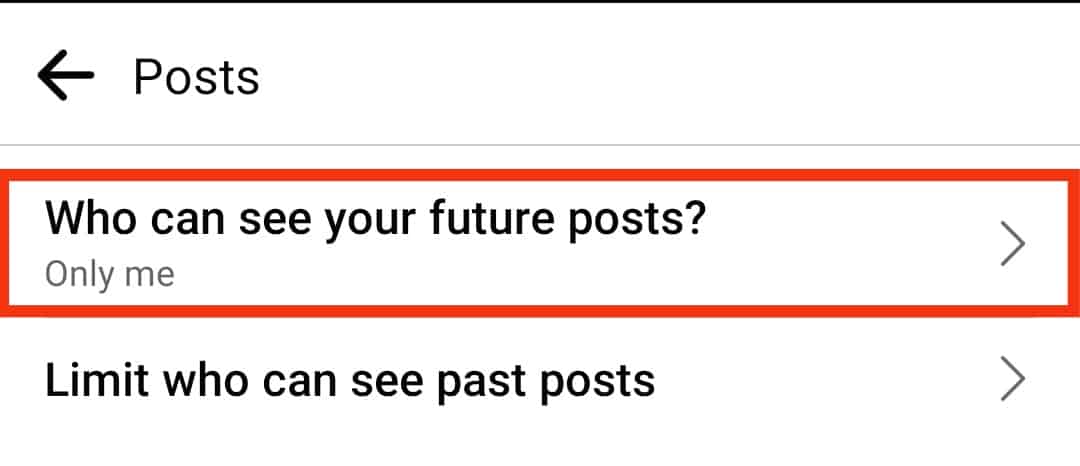 Tap The Who Can See Your Future Posts Button