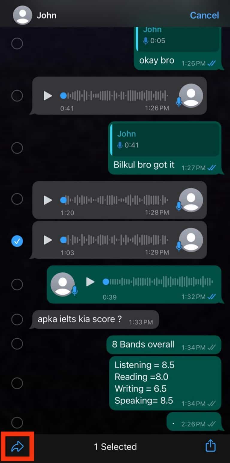 Where Are WhatsApp Audio Files Stored in iPhone? ITGeared