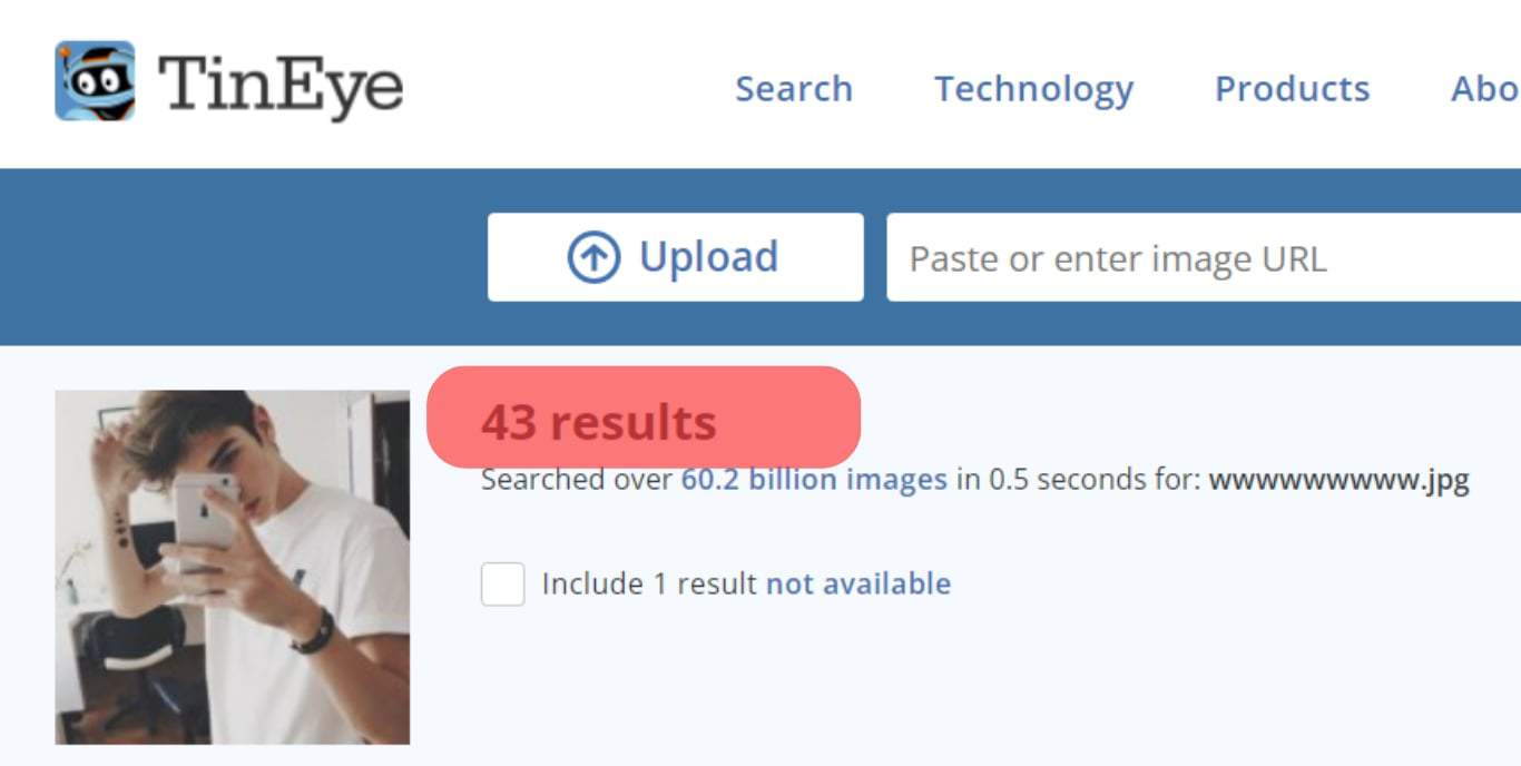 The Result Shows Websites Where The Image Was Used With The Date.