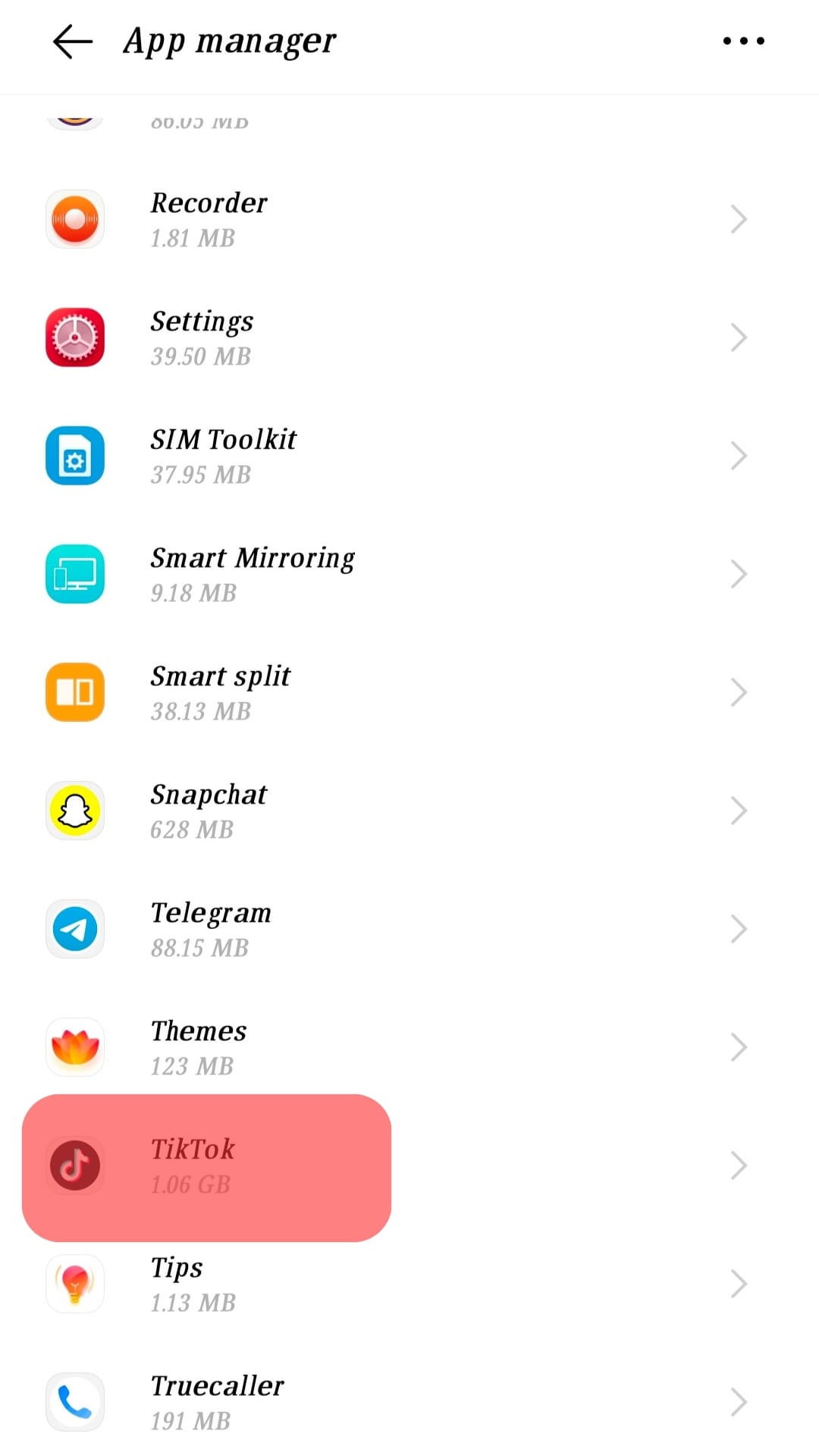 Tiktok App Mobile Setting