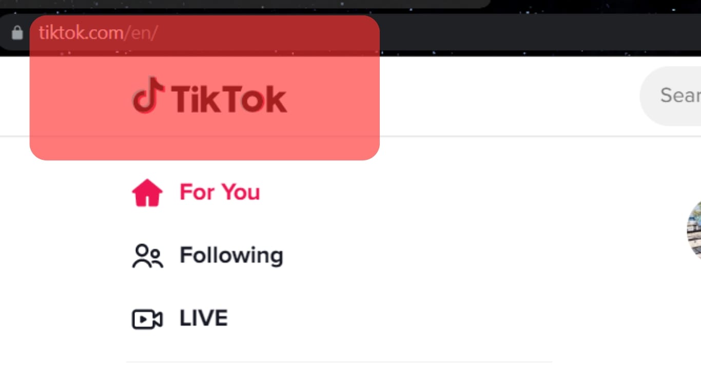 Tiktok’s Official Website