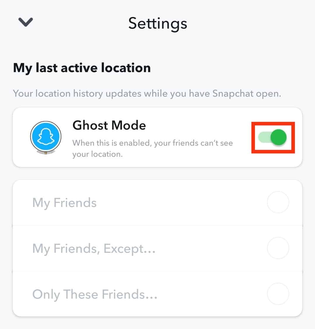 Toggle On The 'Ghost Mode'