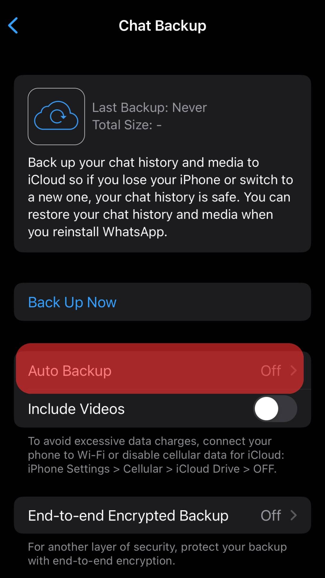 Turn Off The Auto Backup On Iphone