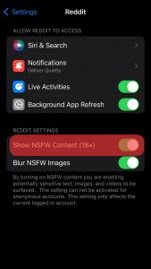 How To Turn On NSFW on Reddit App | ITGeared