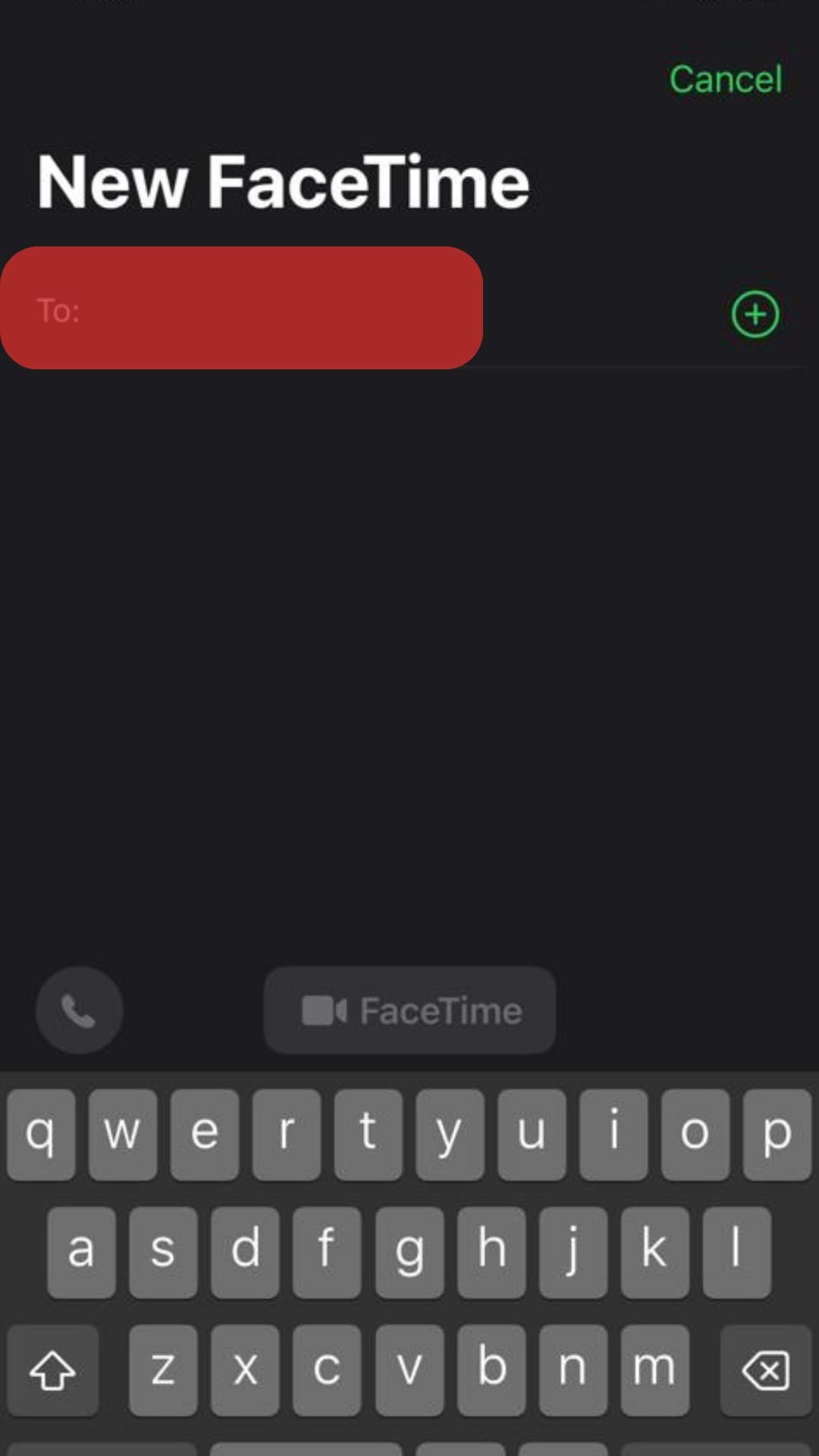 Type The Details Of The Person To Facetime.