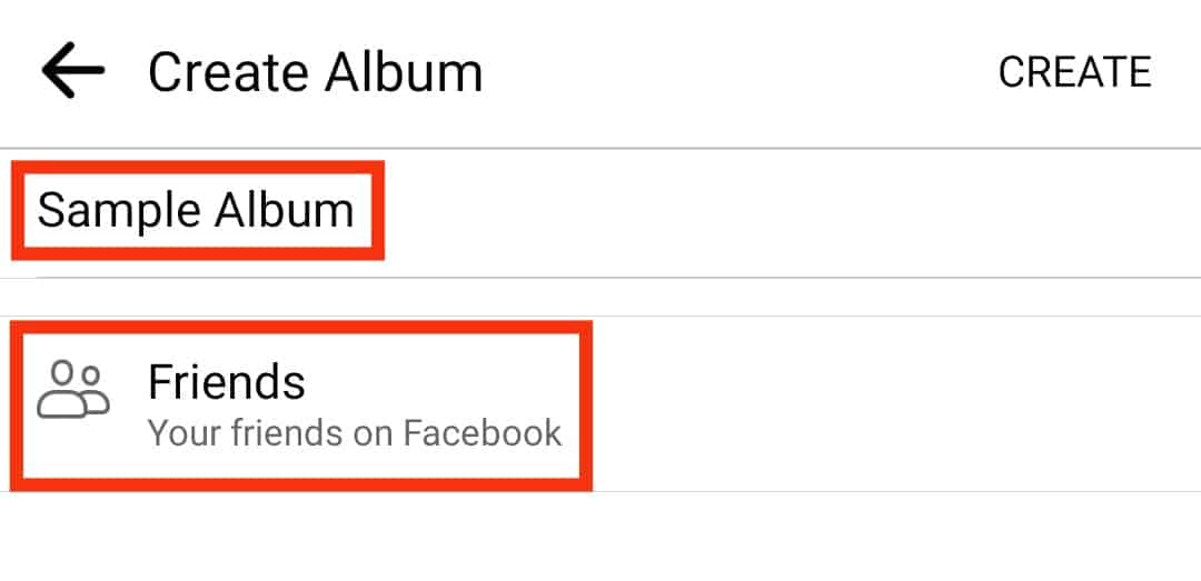 Type The Name Of The New Album And Select A Suitable Audience